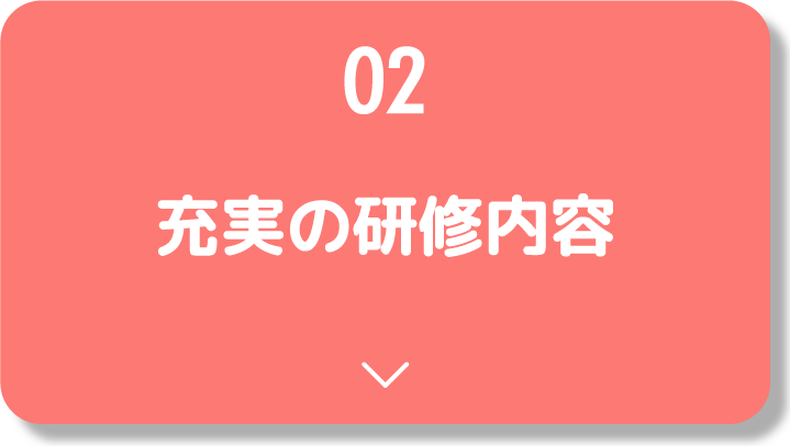 充実の研修内容