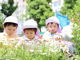 両国保育園